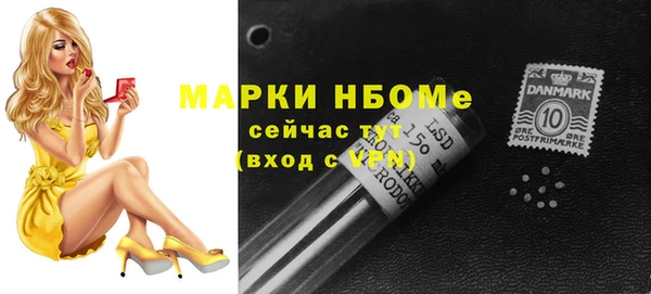 дживик Ельня
