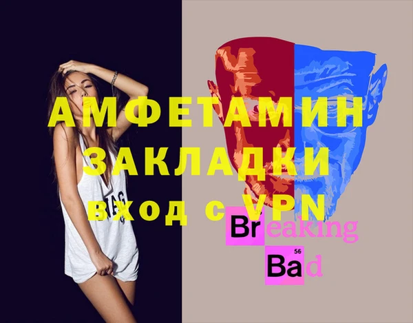 дживик Ельня
