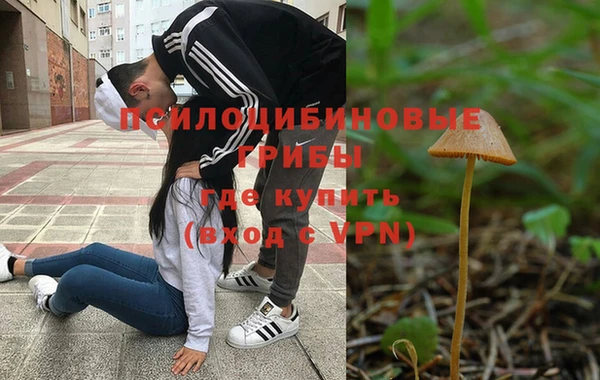 прущая мука Елизово