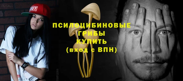 ALPHA PVP Бикин