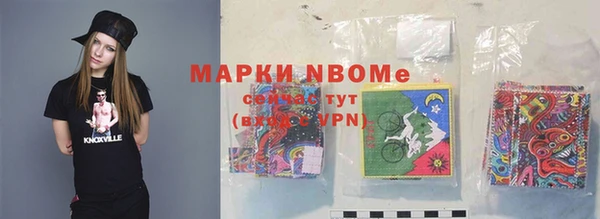 дживик Ельня