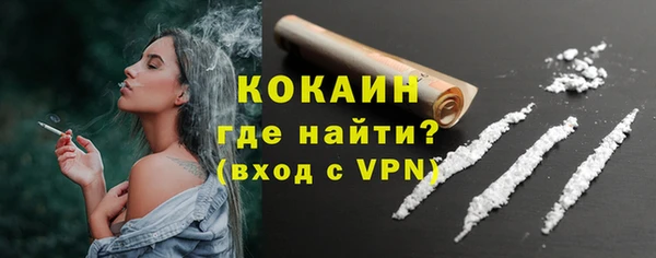 мдпв Билибино