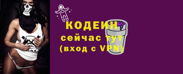 дживик Ельня