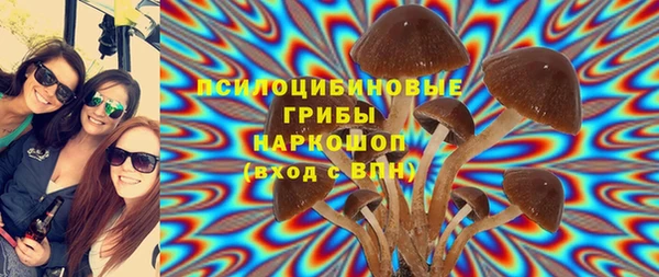 дживик Ельня