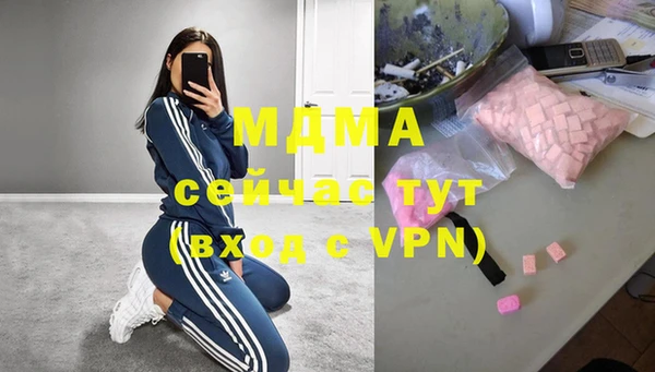 дживик Ельня